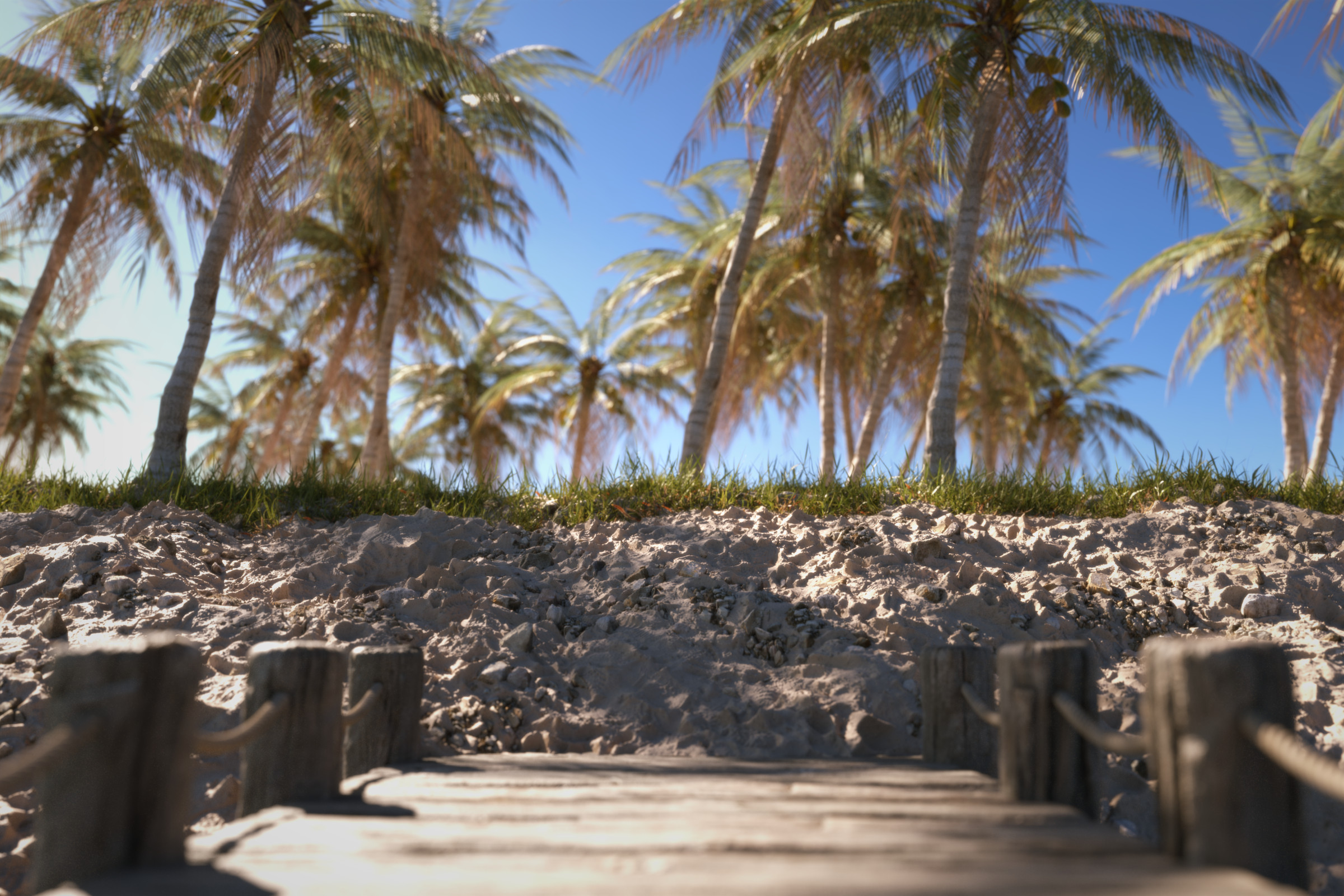 Beach
