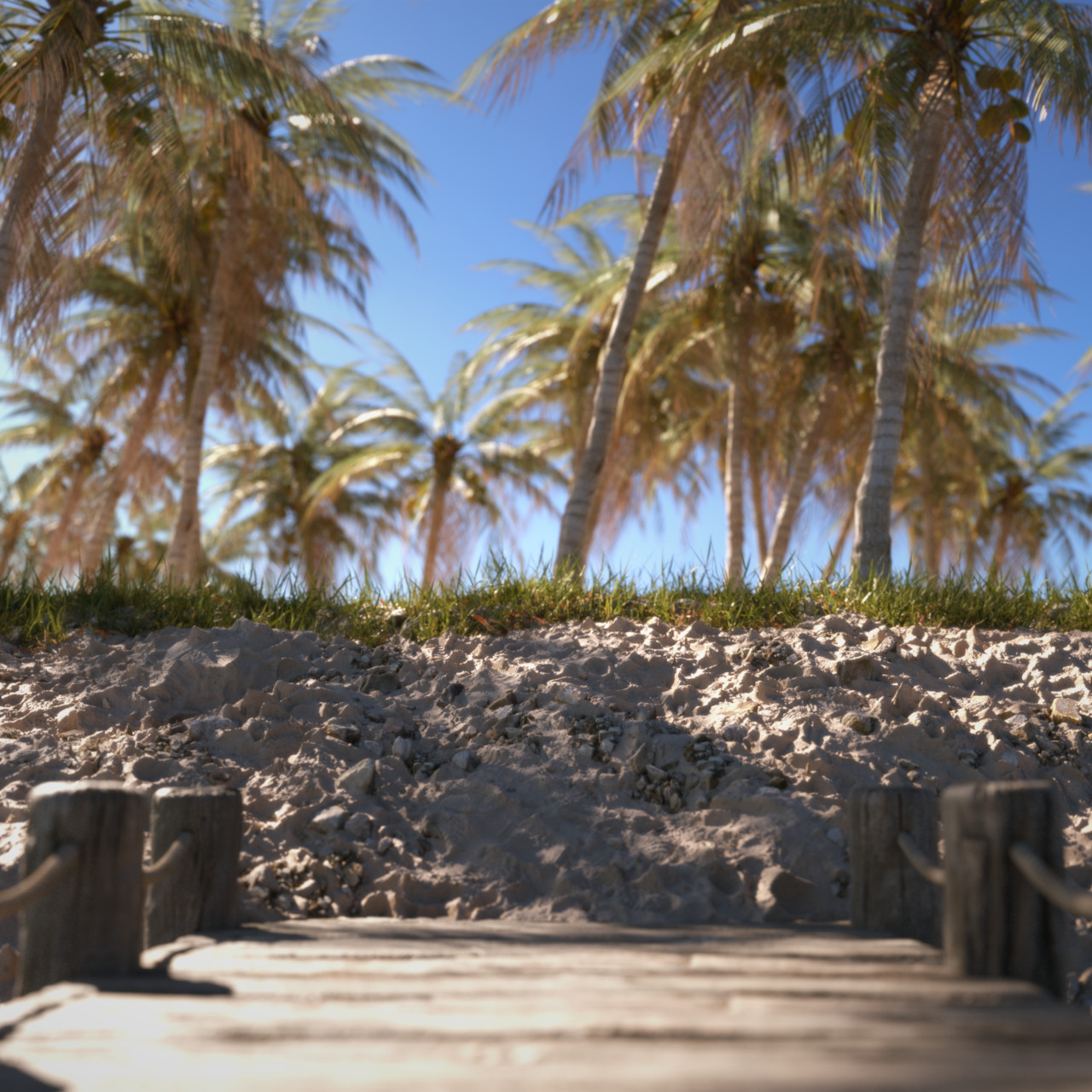 Beach